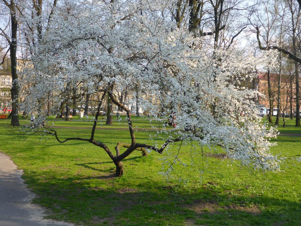 Garden Apartment Krakow Dış mekan fotoğraf