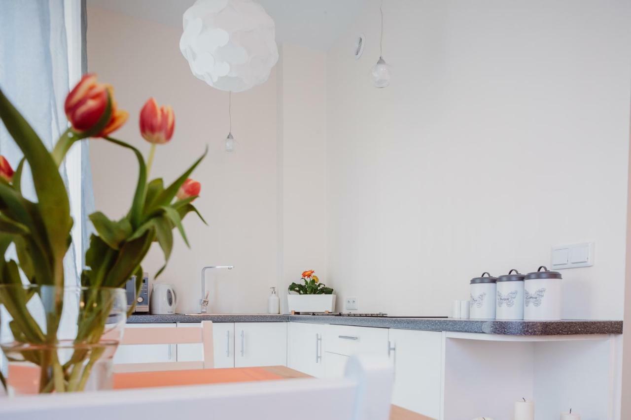 Garden Apartment Krakow Dış mekan fotoğraf