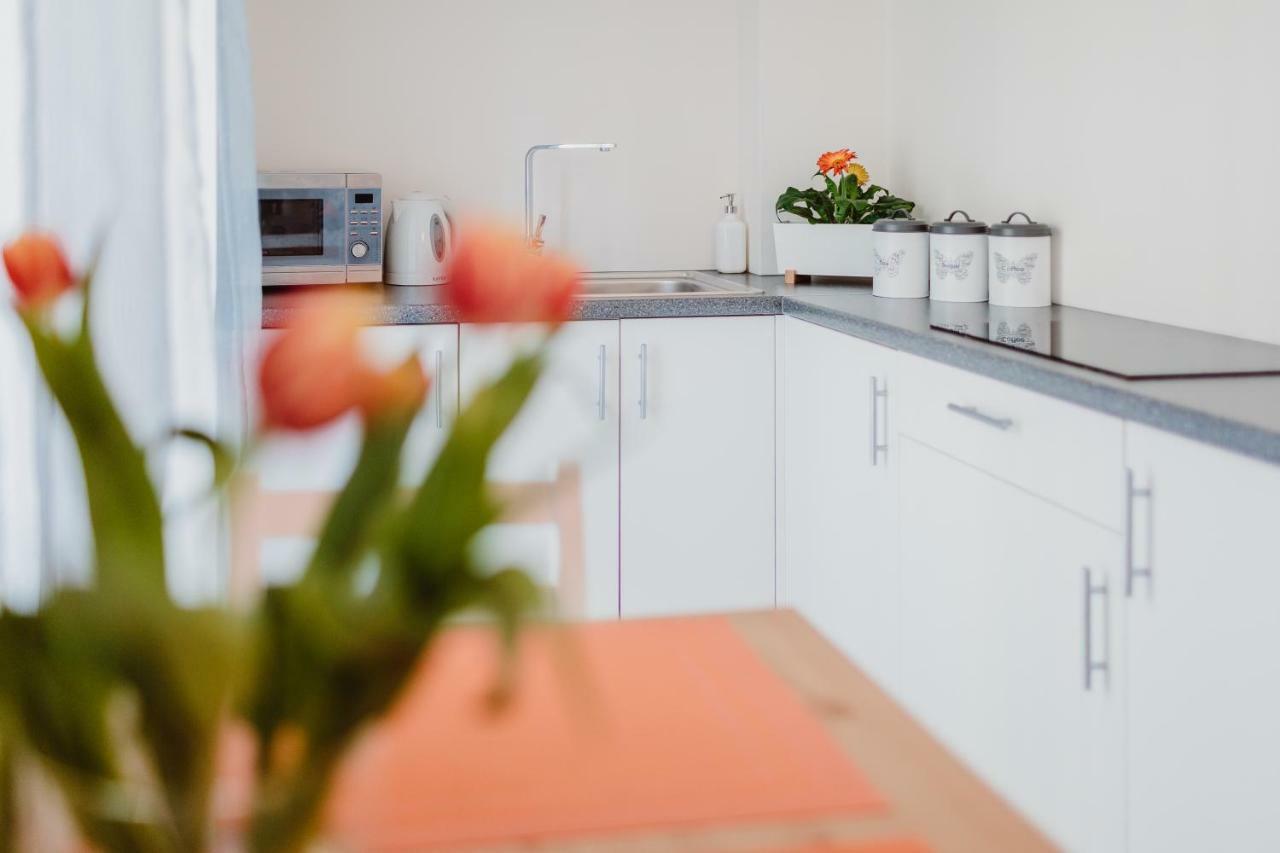Garden Apartment Krakow Dış mekan fotoğraf