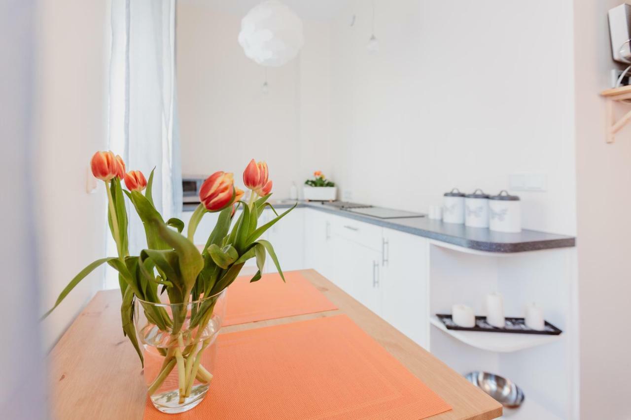 Garden Apartment Krakow Dış mekan fotoğraf